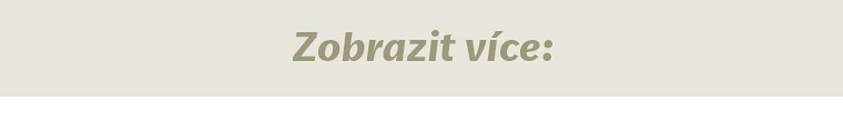 LP_Balance_CZ_mobile_06.jpg