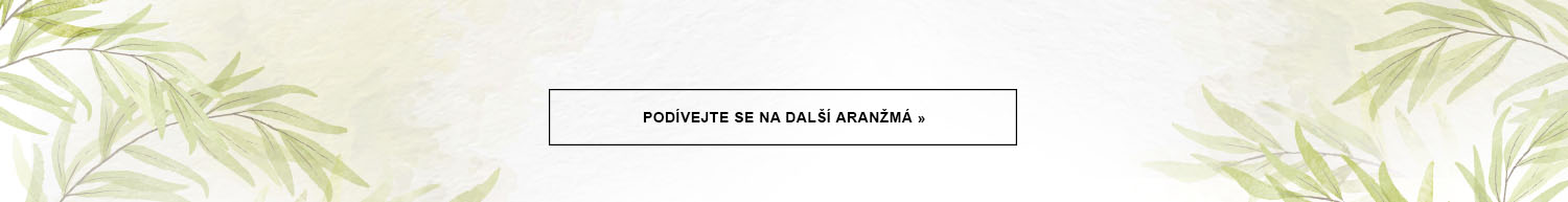1500xauto_soft_nature_konczacy.jpg