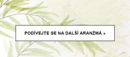 4340xauto_soft_nature_konczacy_.jpg