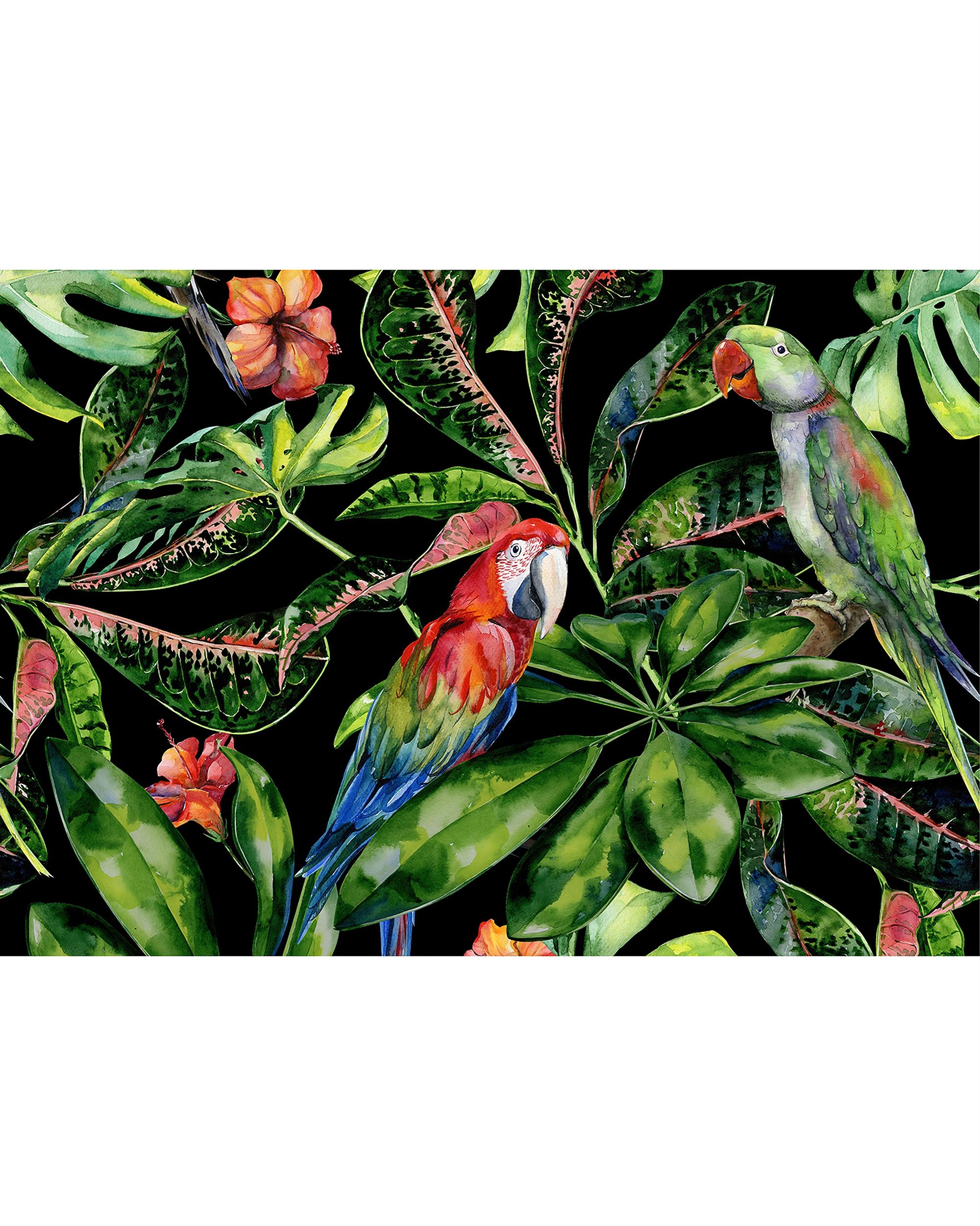 Obraz na płátně Tropical Birds