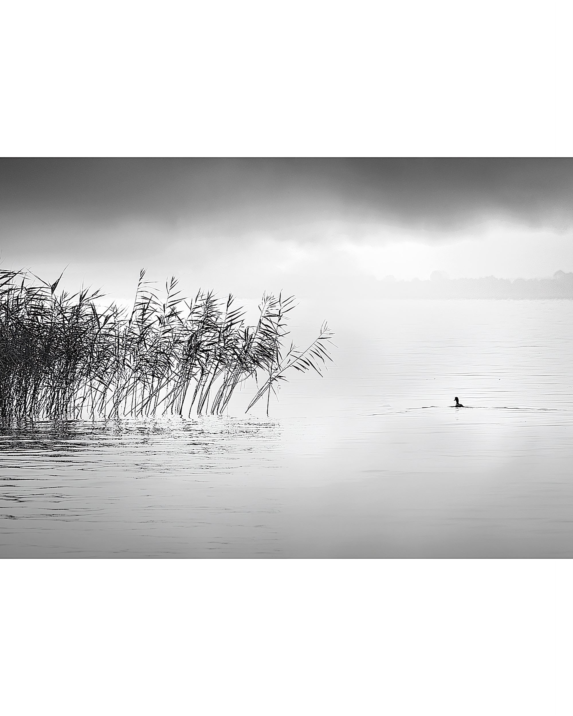 Obraz na plátně By the Lake II