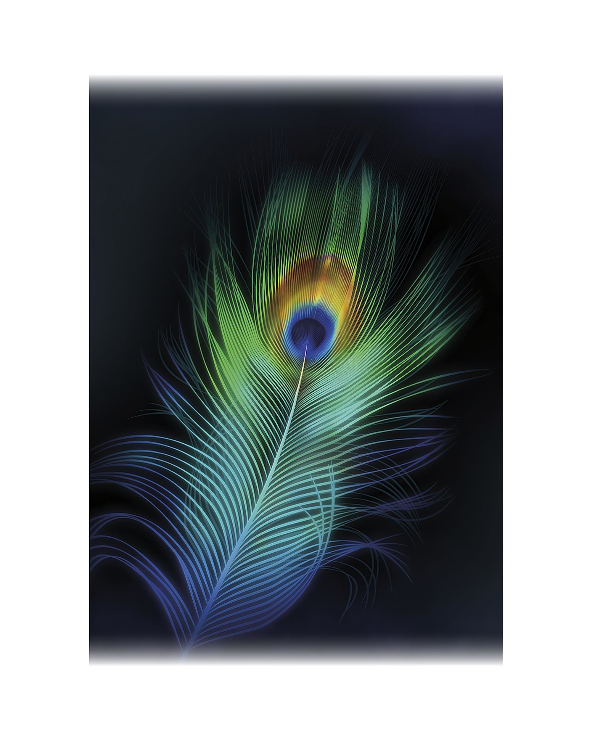 Obraz na plátně Peacock Eye
