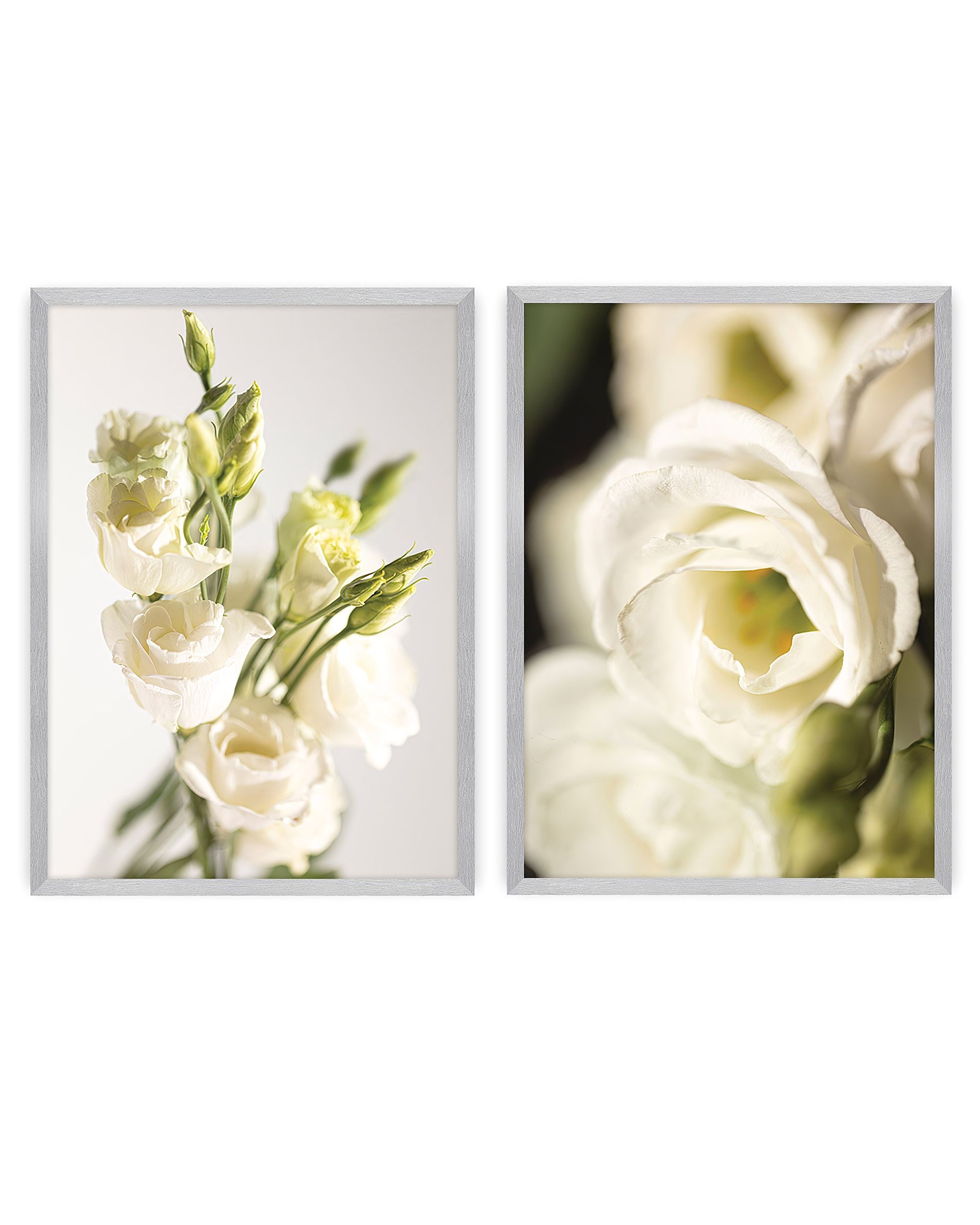 Sada obrázků Flowers 2ks