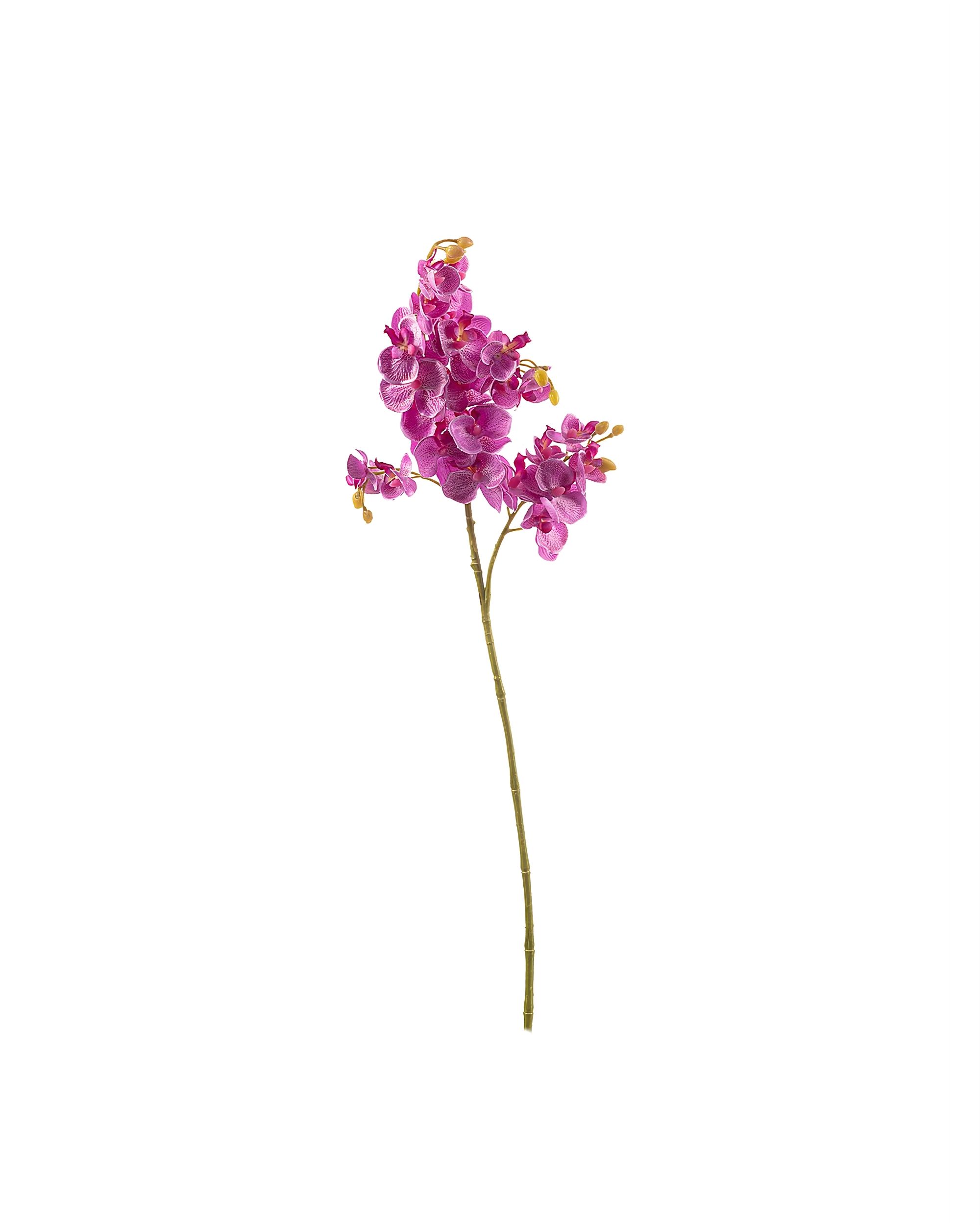 Kvěina um.Orchid Fuchsia 55cm