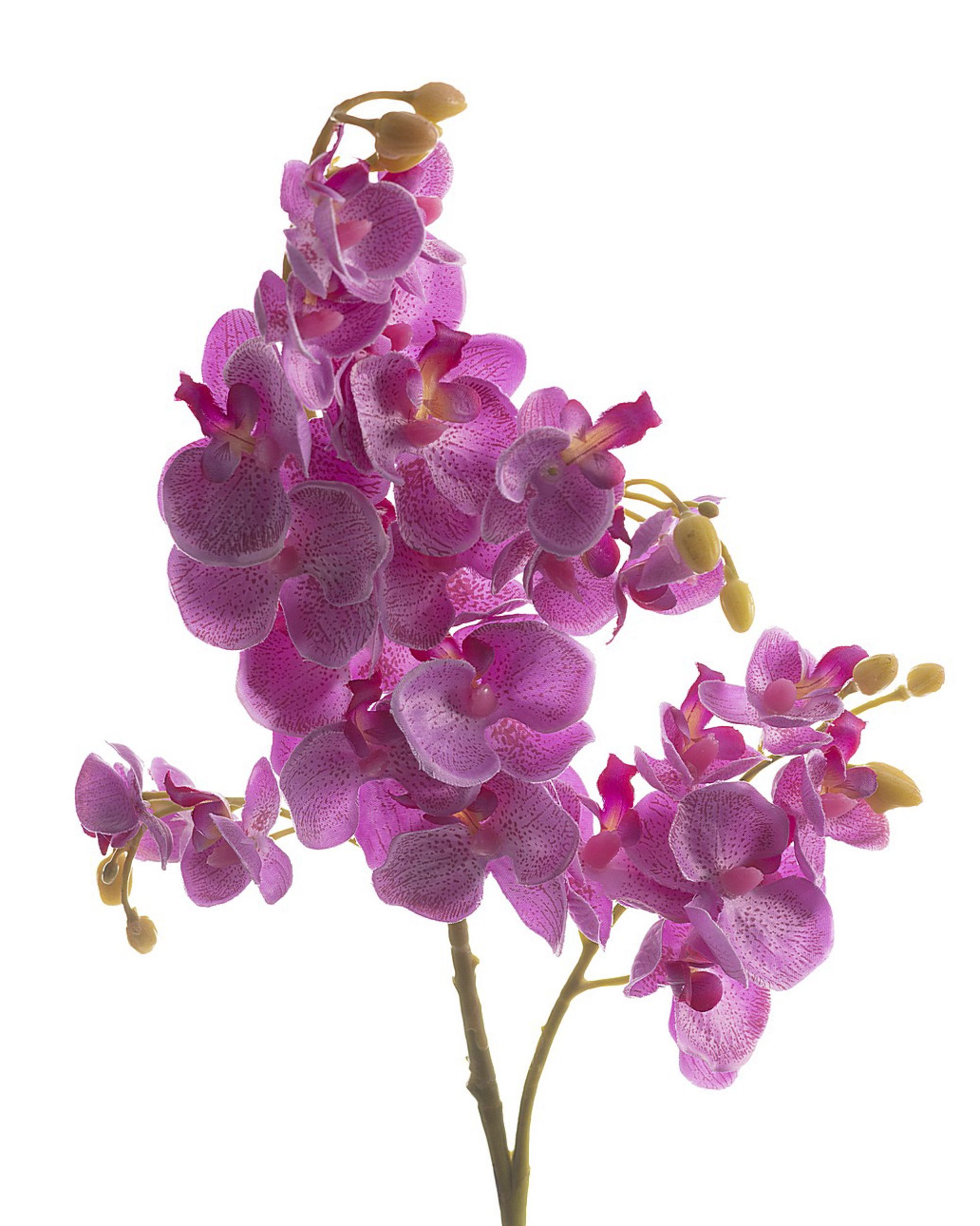 Kvěina um.Orchid Fuchsia 55cm (hover)