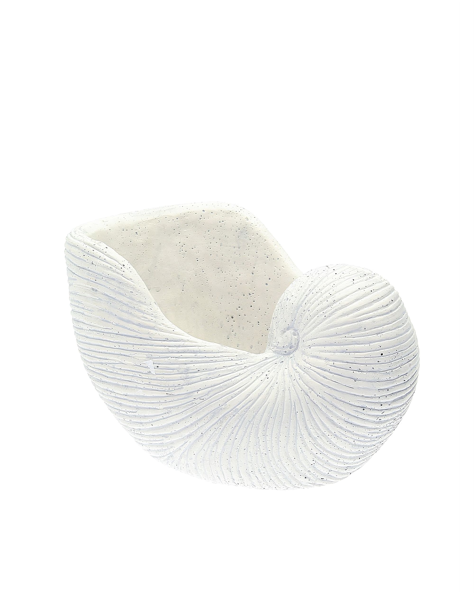 Mušlový květináč