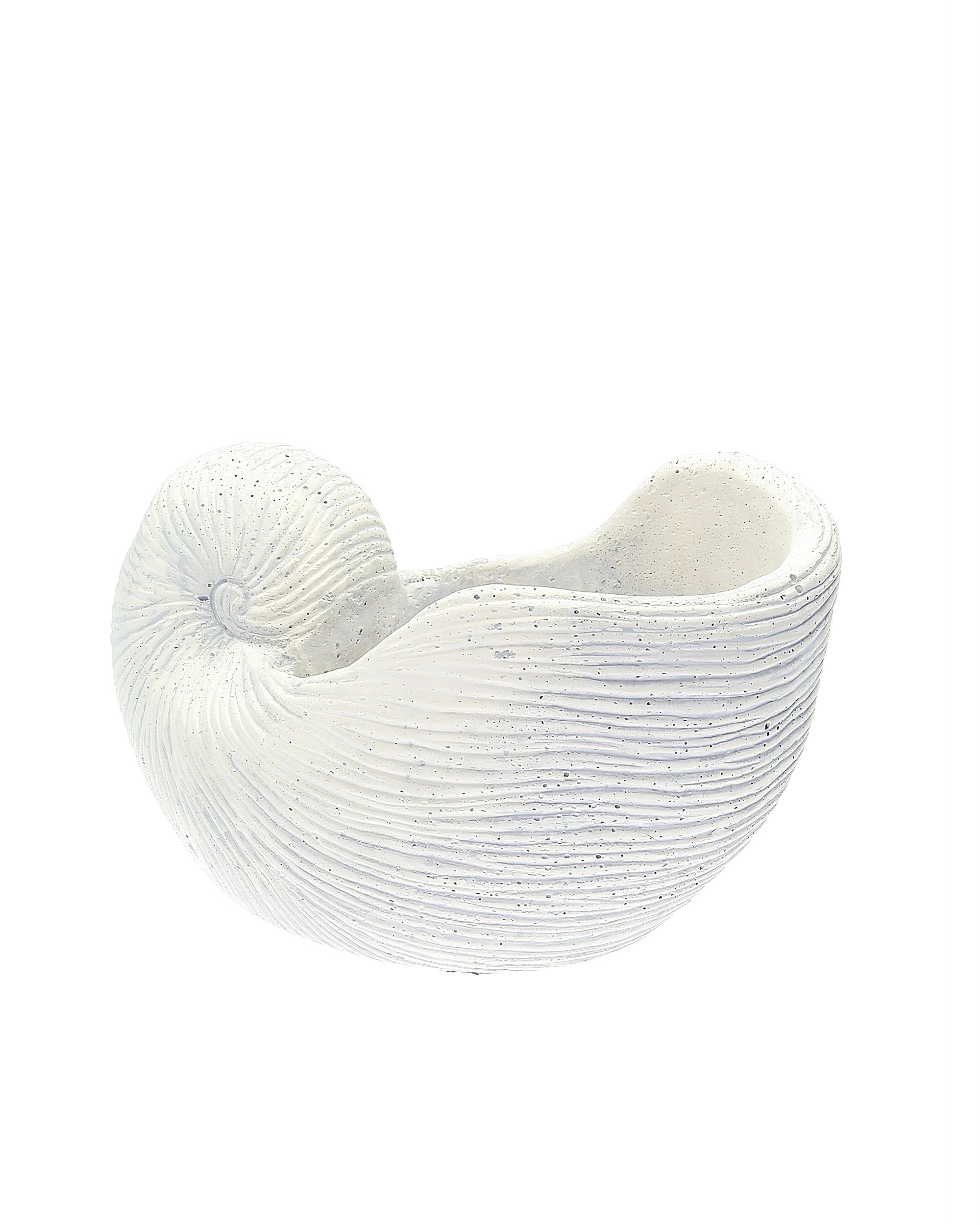 Mušlový květináč (hover)