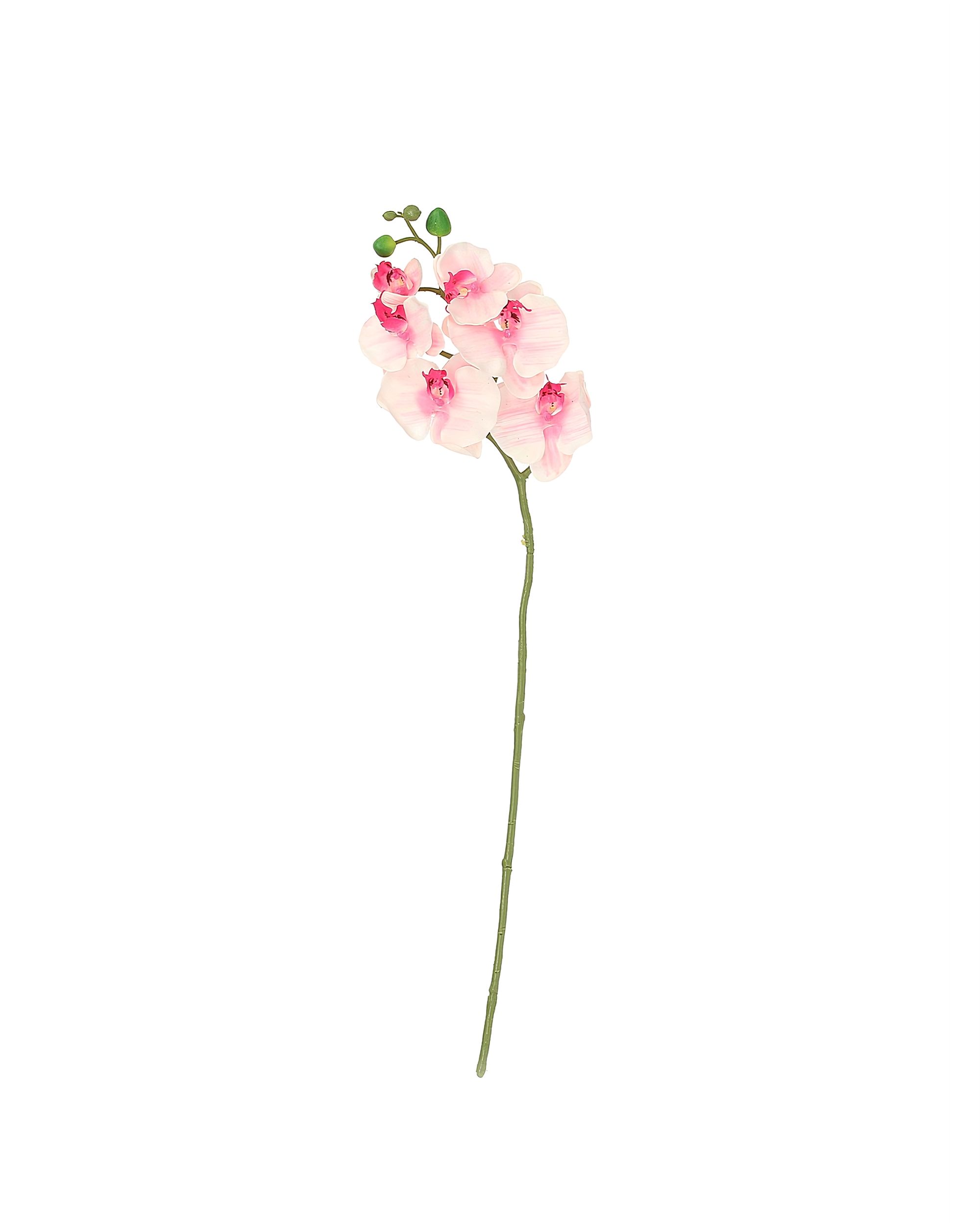 Větvička Orchid 65cm light pink