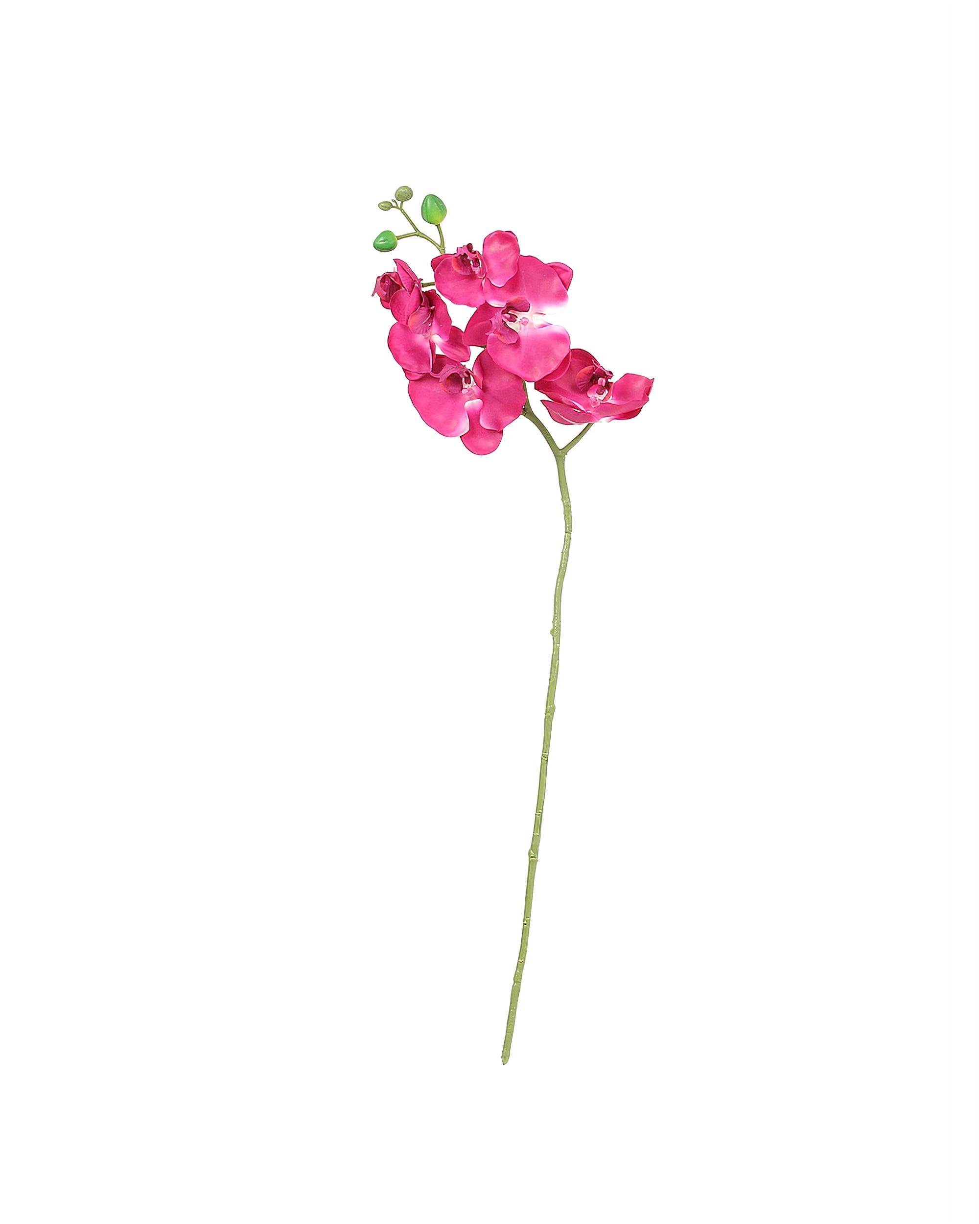 Větvička Orchid 65cm pink