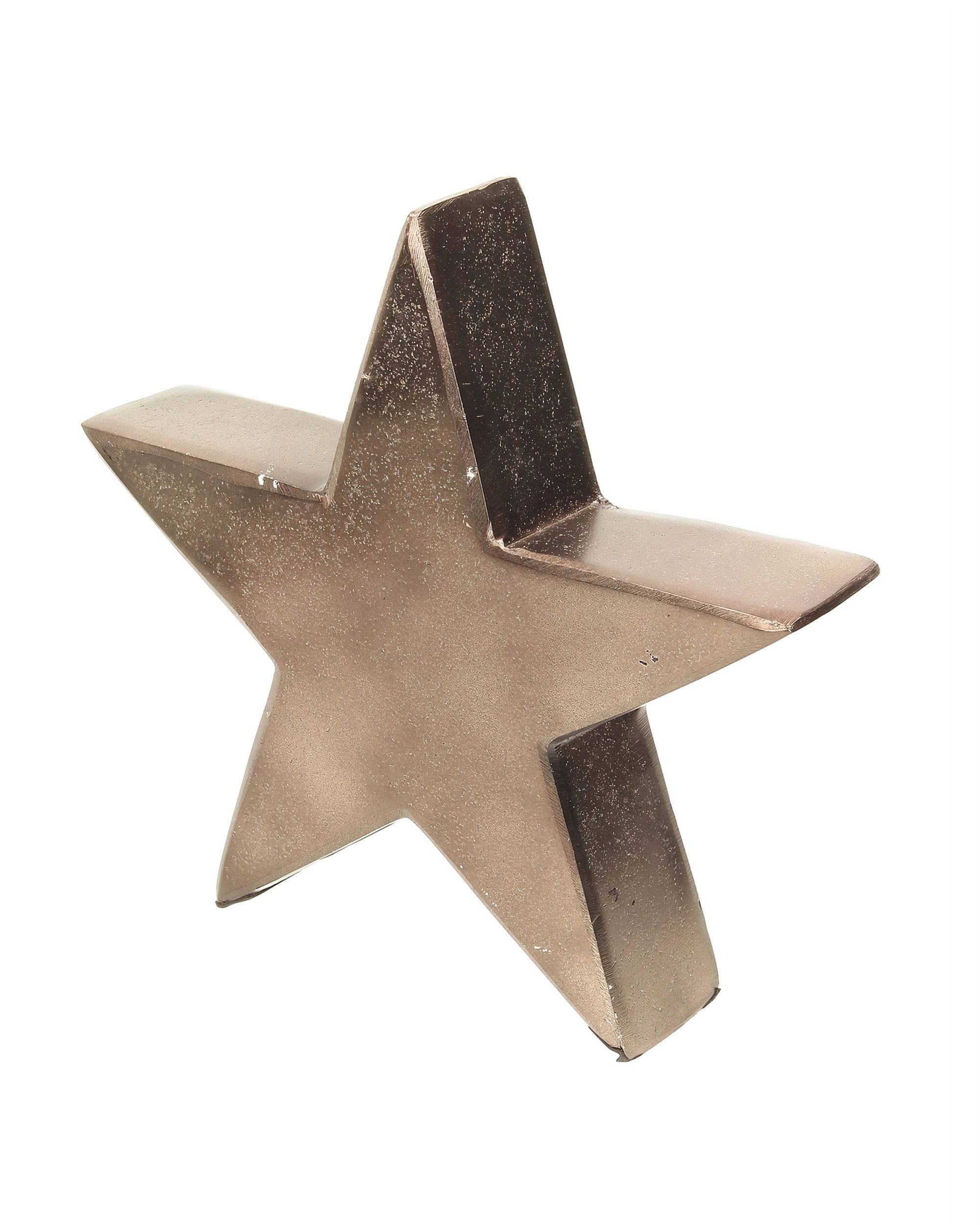 Dekorace Christmas Star (hover)