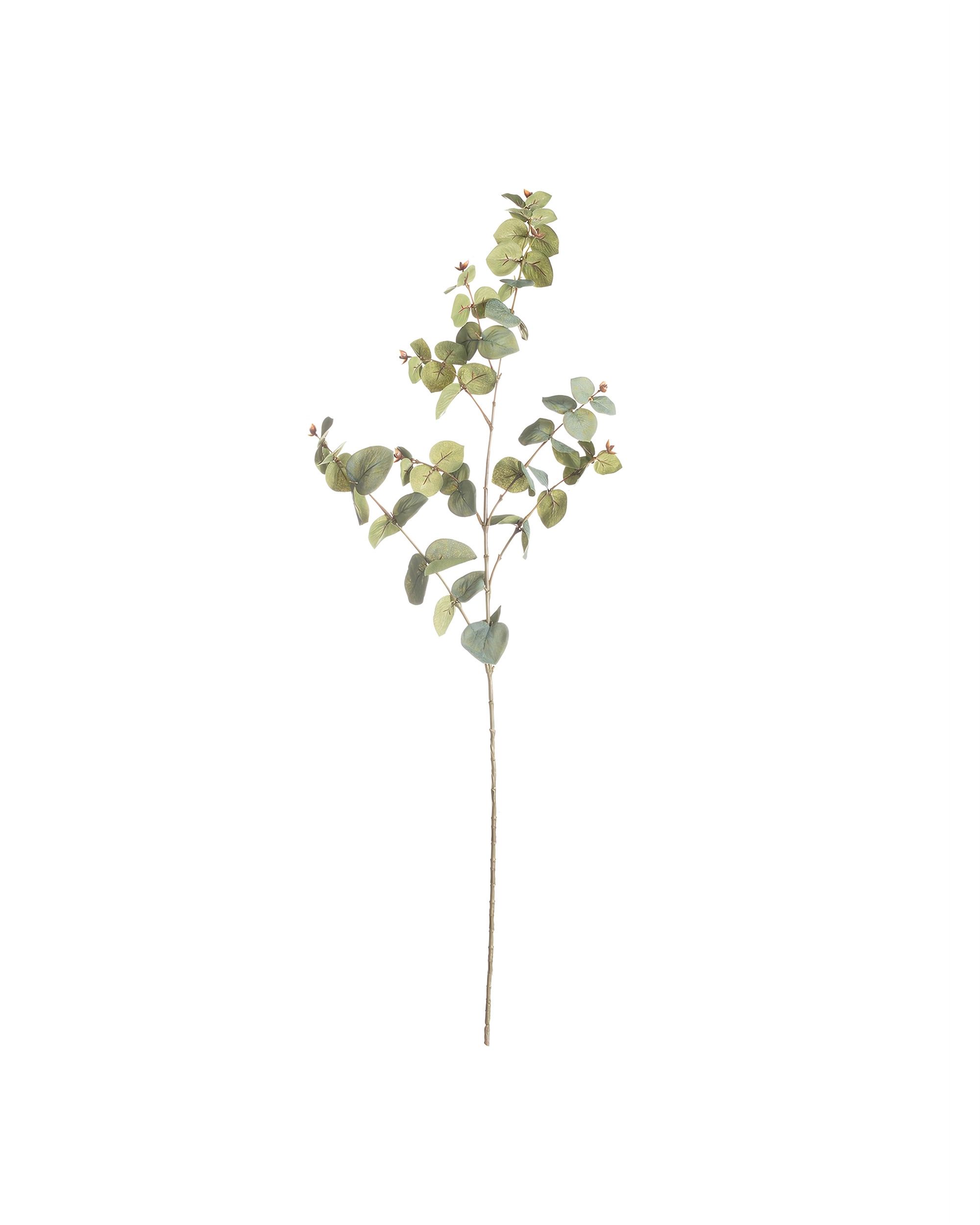Větev eukalyptu 90cm light green