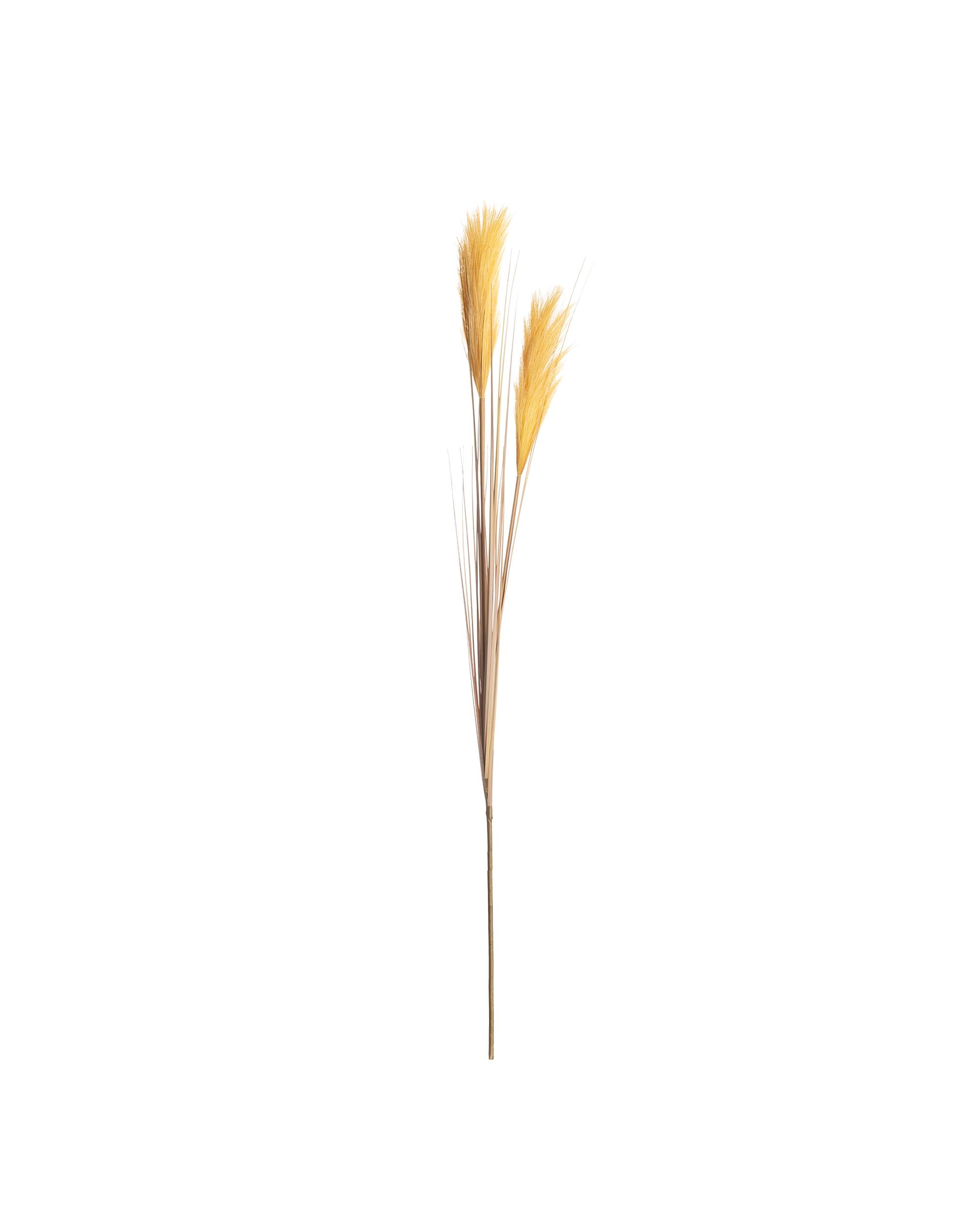 Ozdobný rákos 100cm yellow
