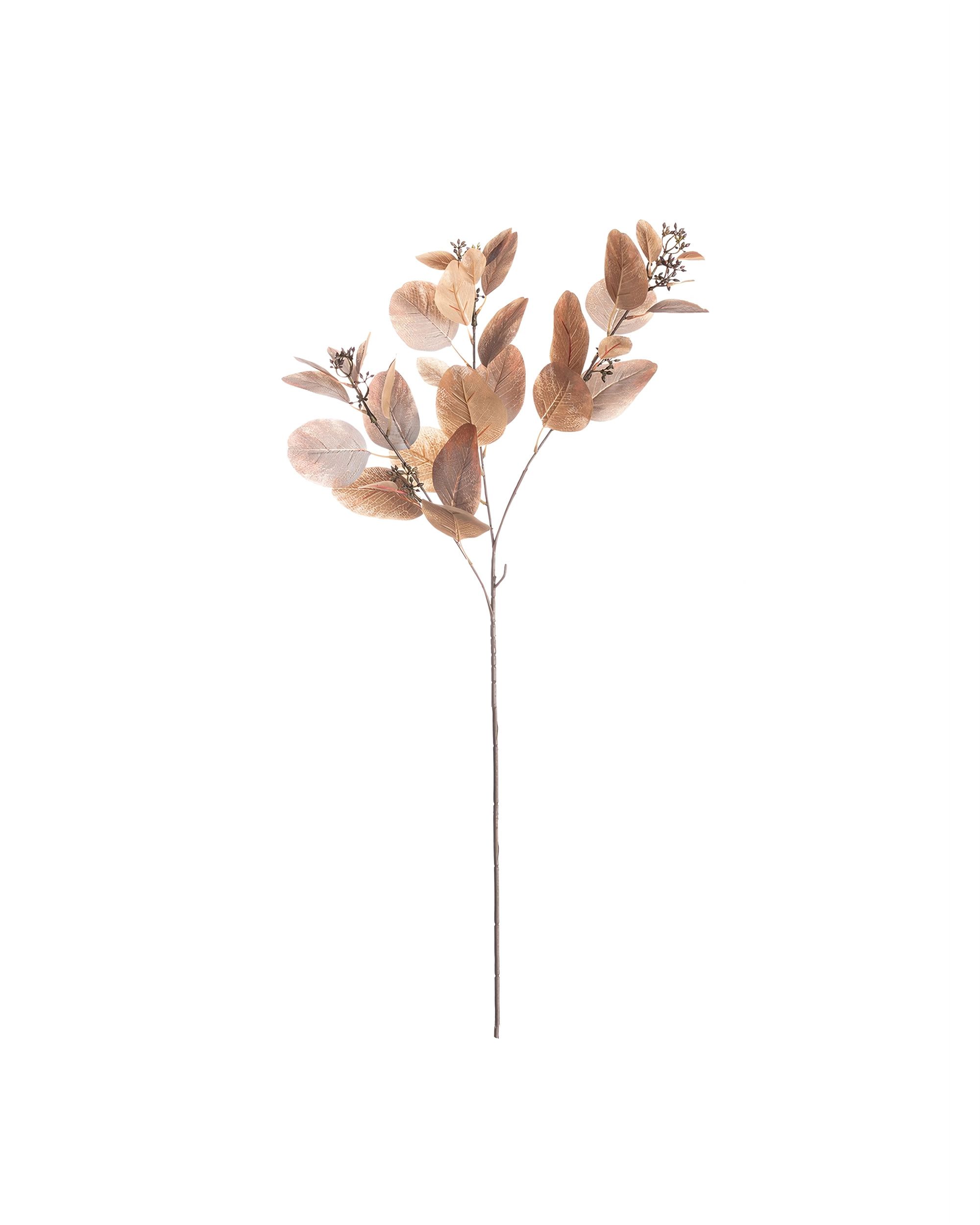 Větev eukalyptu 80cm brown