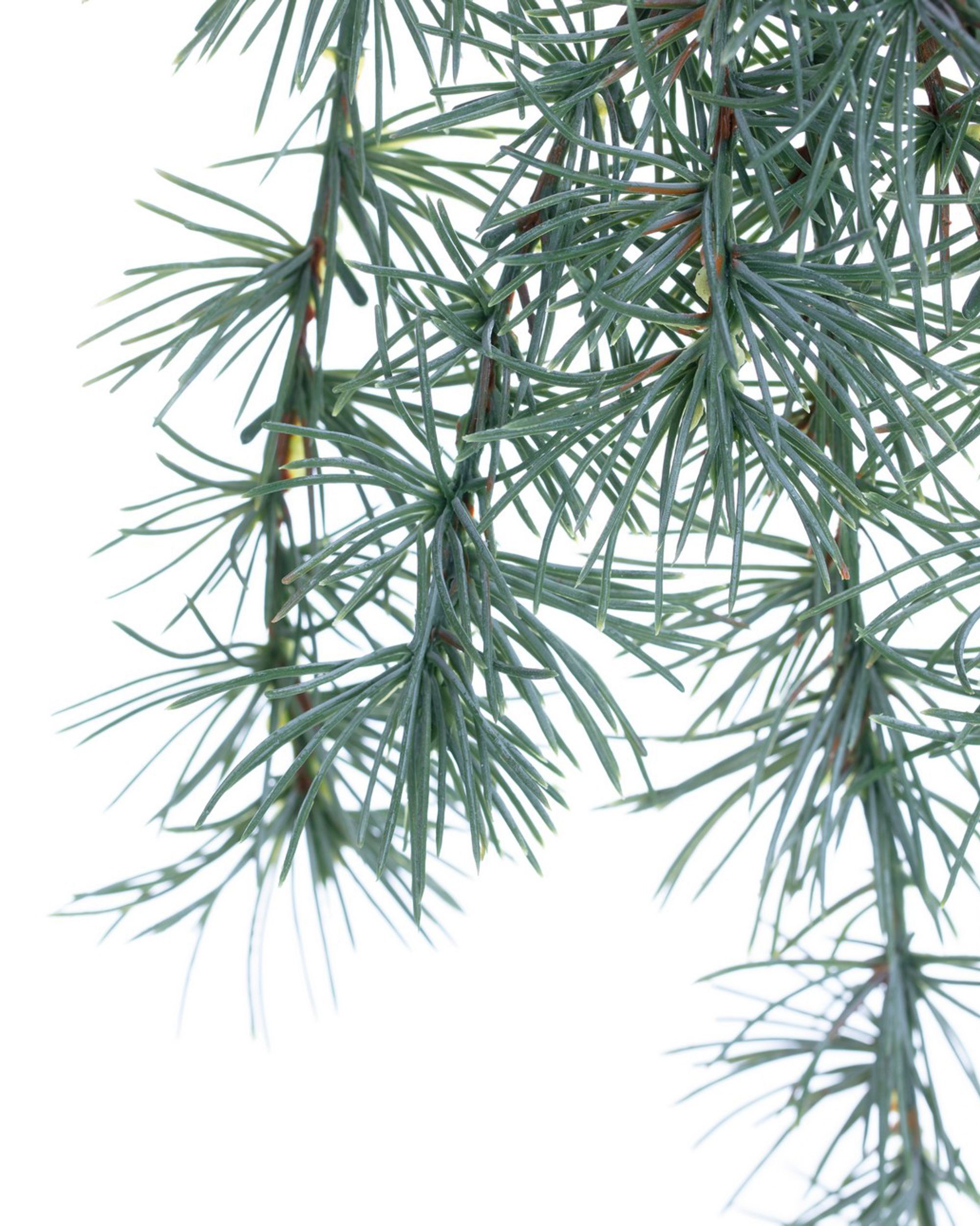 Větvička Christmas Tree 30x2x60cm light green (hover)