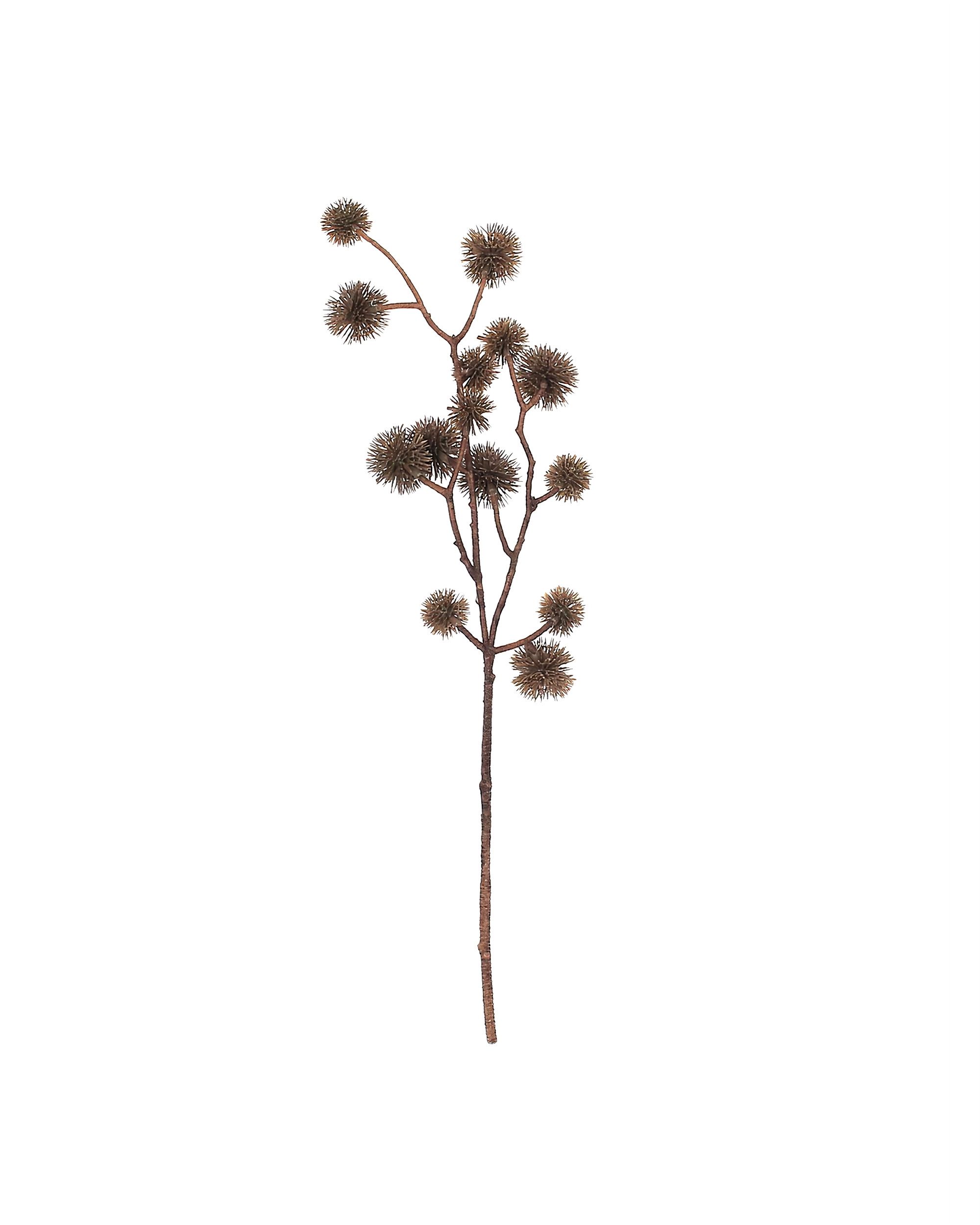 Větvička Castania 50 cm
