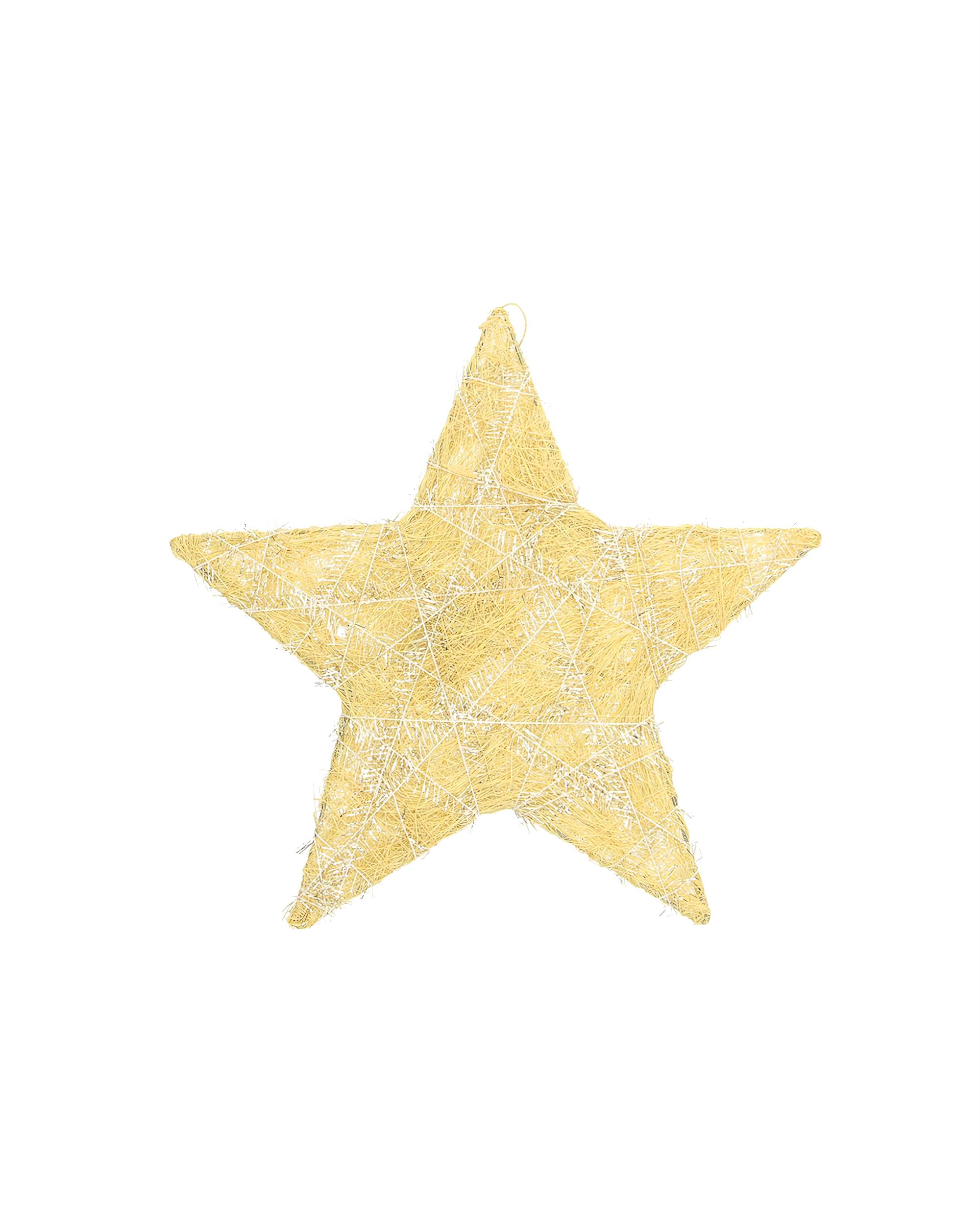 Vánoční ozdoba Golden Star II 25 cm