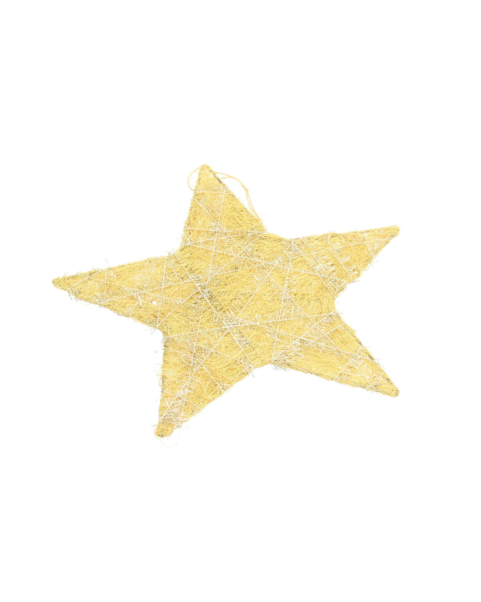 Vánoční ozdoba Golden Star II 25 cm (hover)