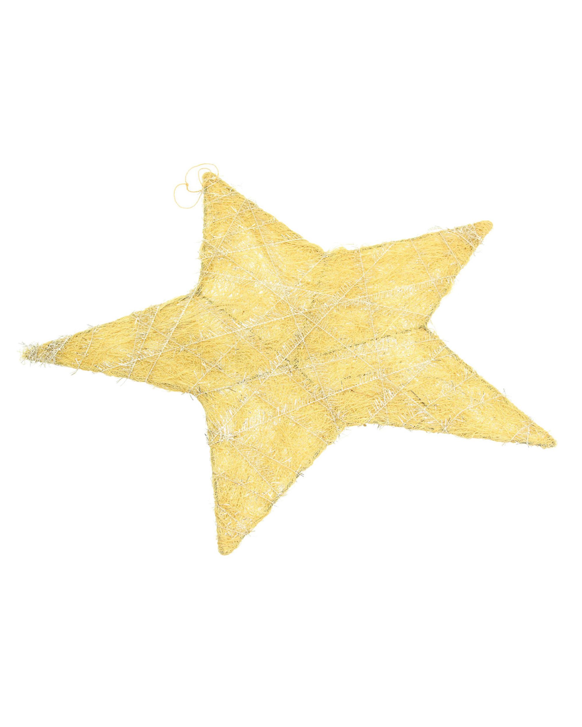 Vánoční ozdoba Golden Star II 40 cm (hover)