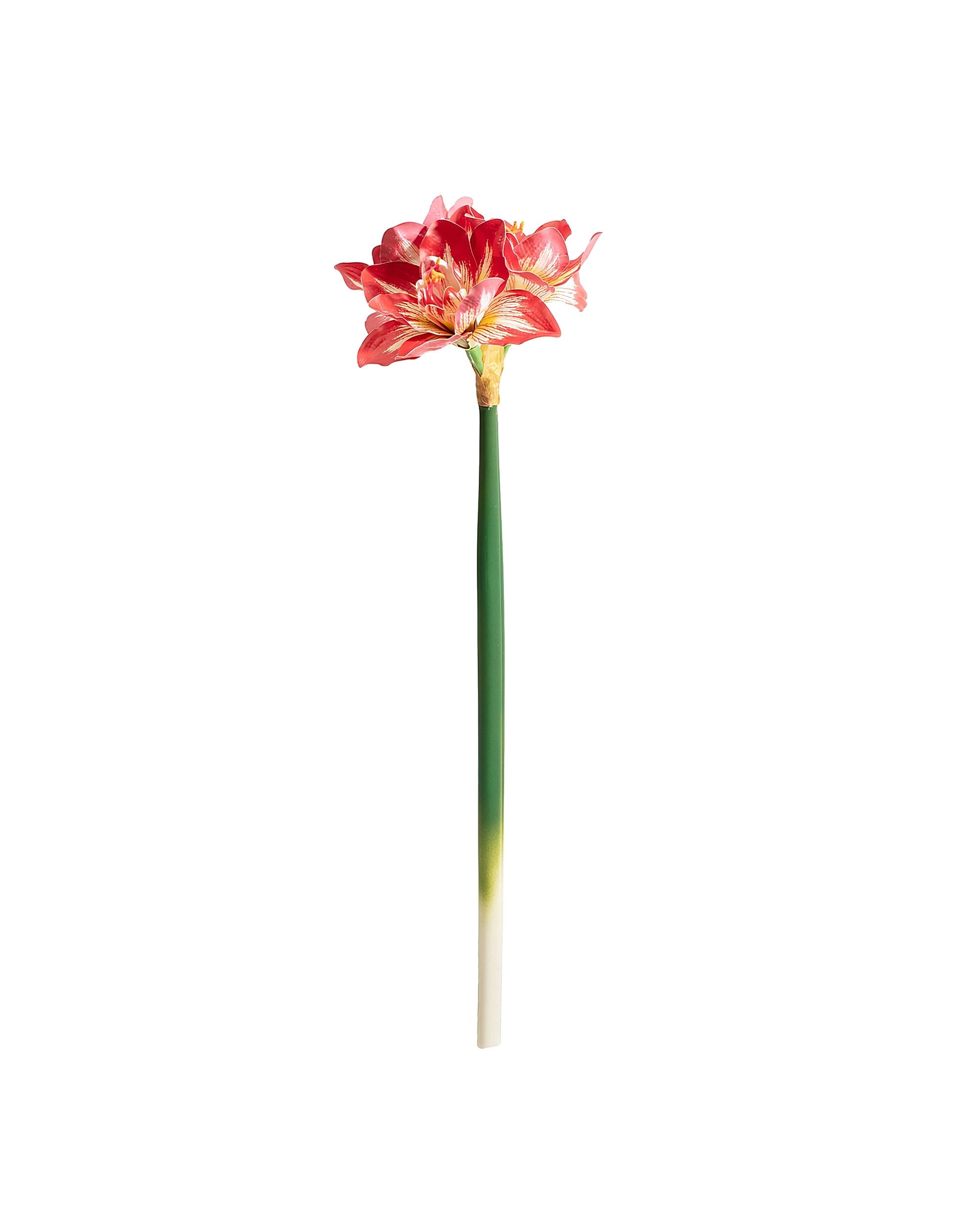 Umělá květina Amarylis 62 cm red
