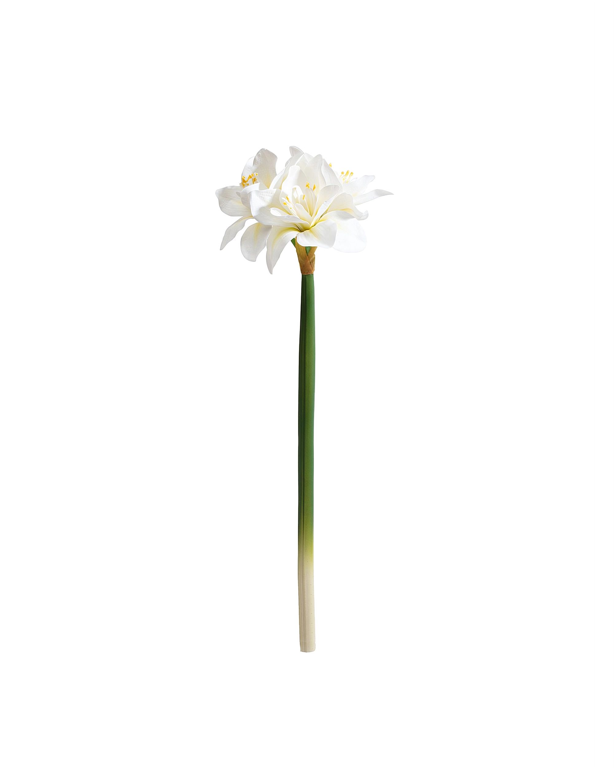 Umělá květina Amarylis 62 cm cream
