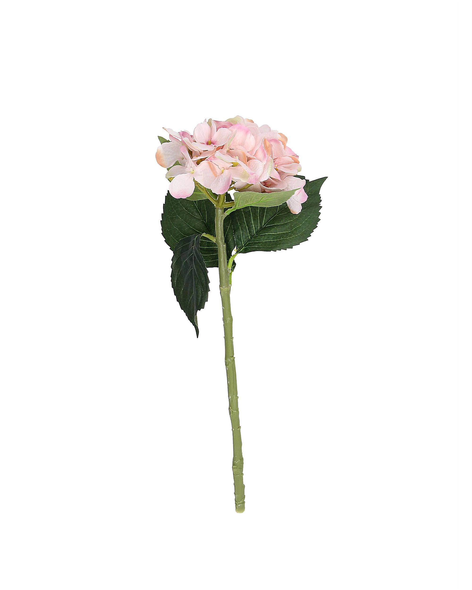 Větvička hortenzie 50 cm