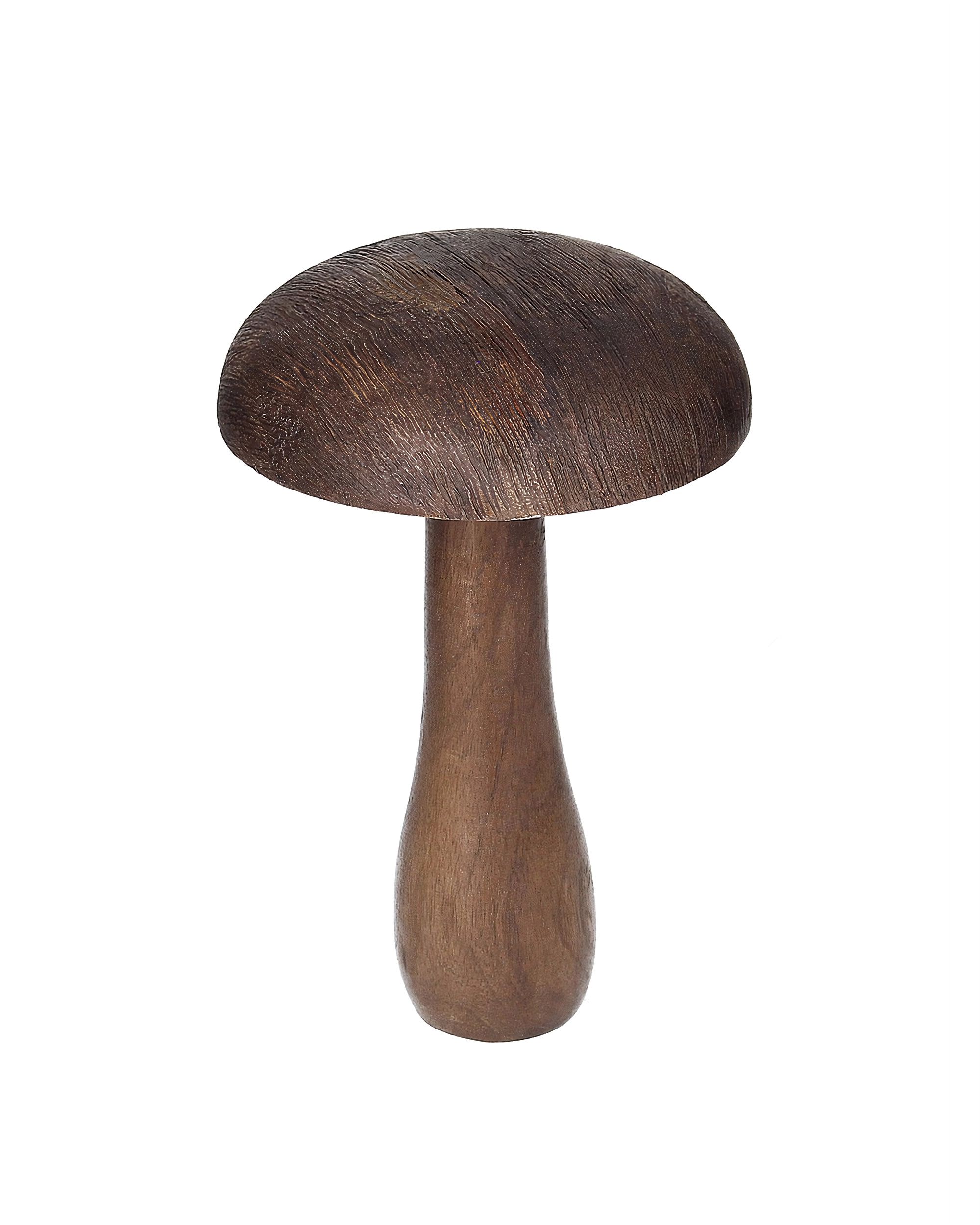 Houba Darkcap 12x18 cm