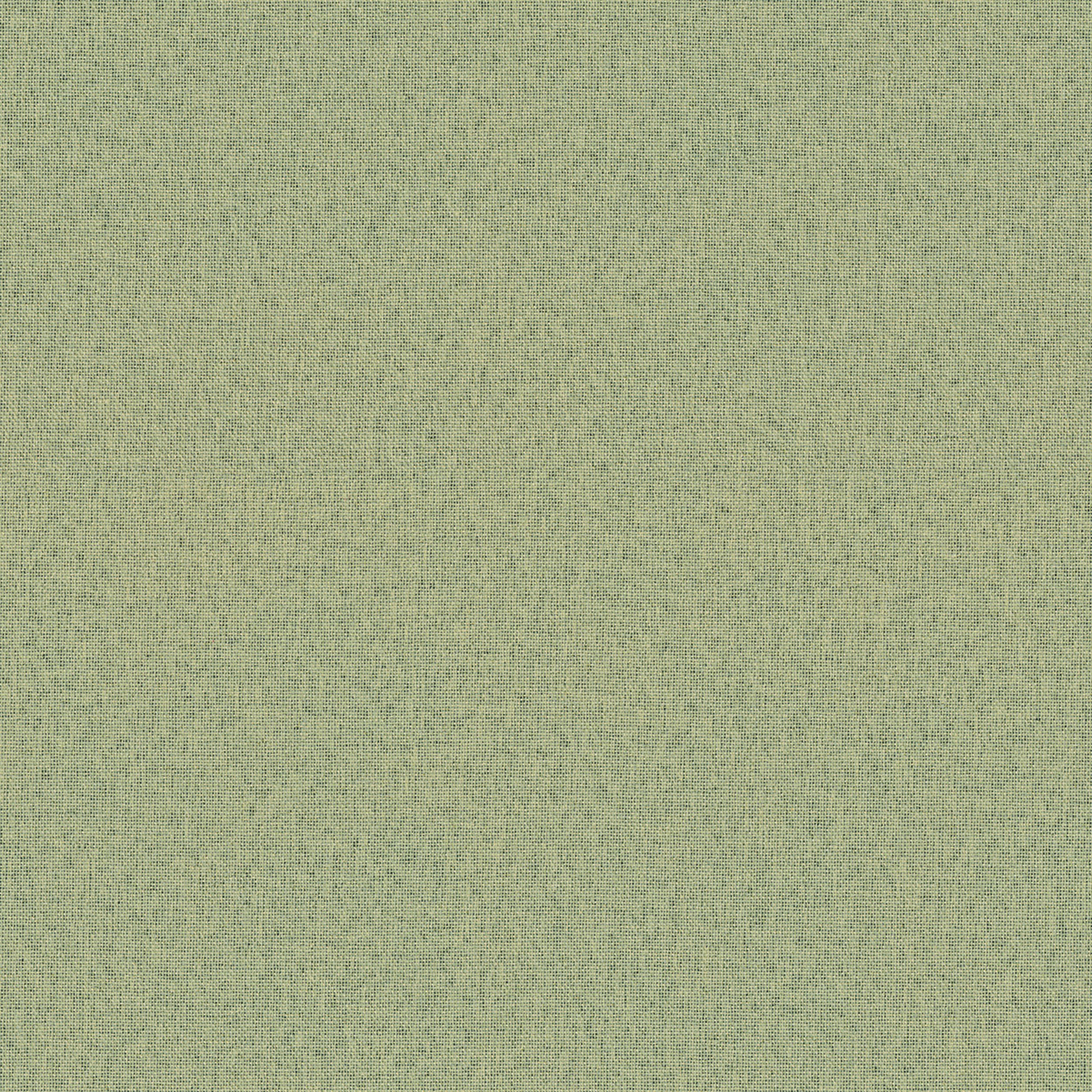 Blackout Soft 269-23 zelená