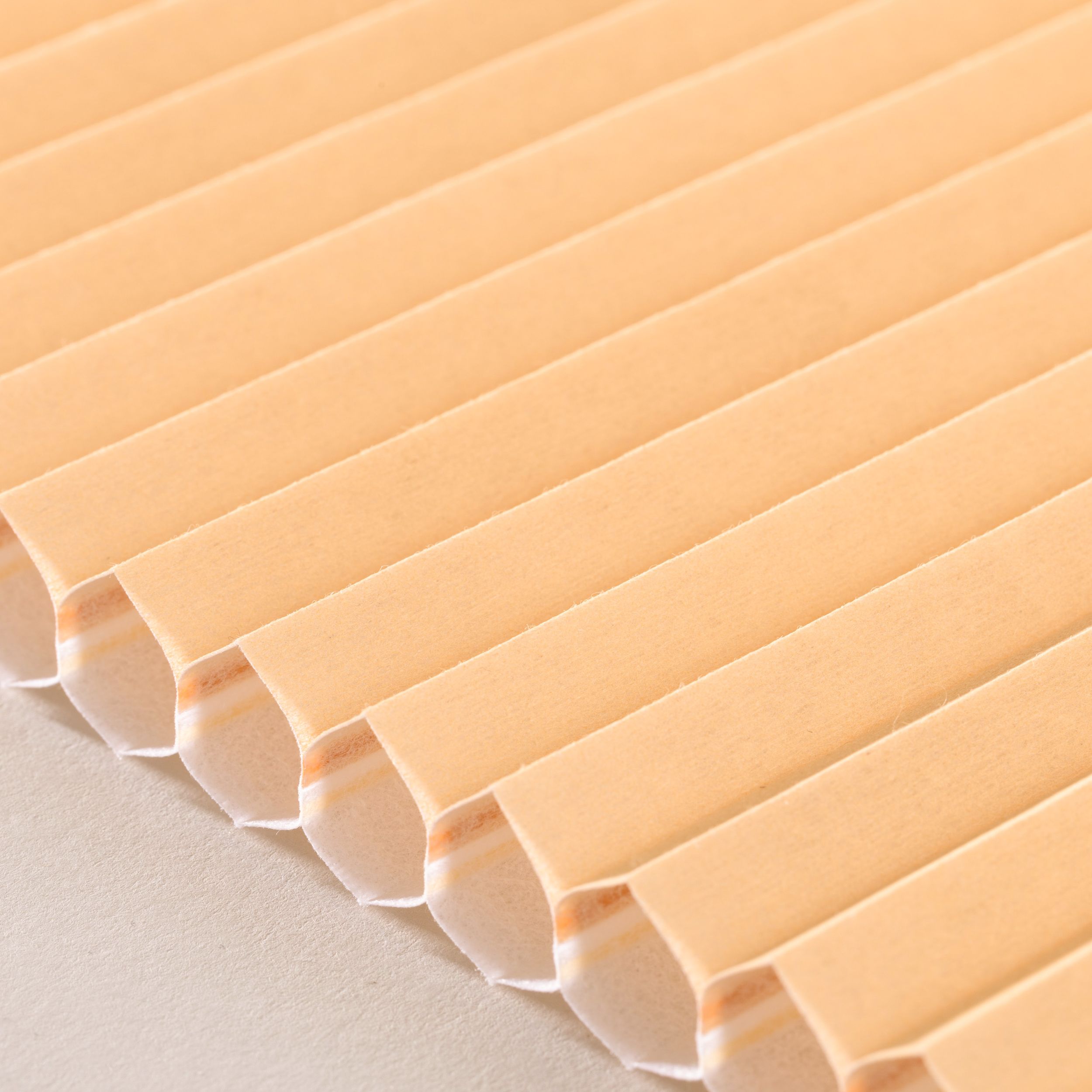 Basic – plisé Honeycomb H-102 tlumená oranžová